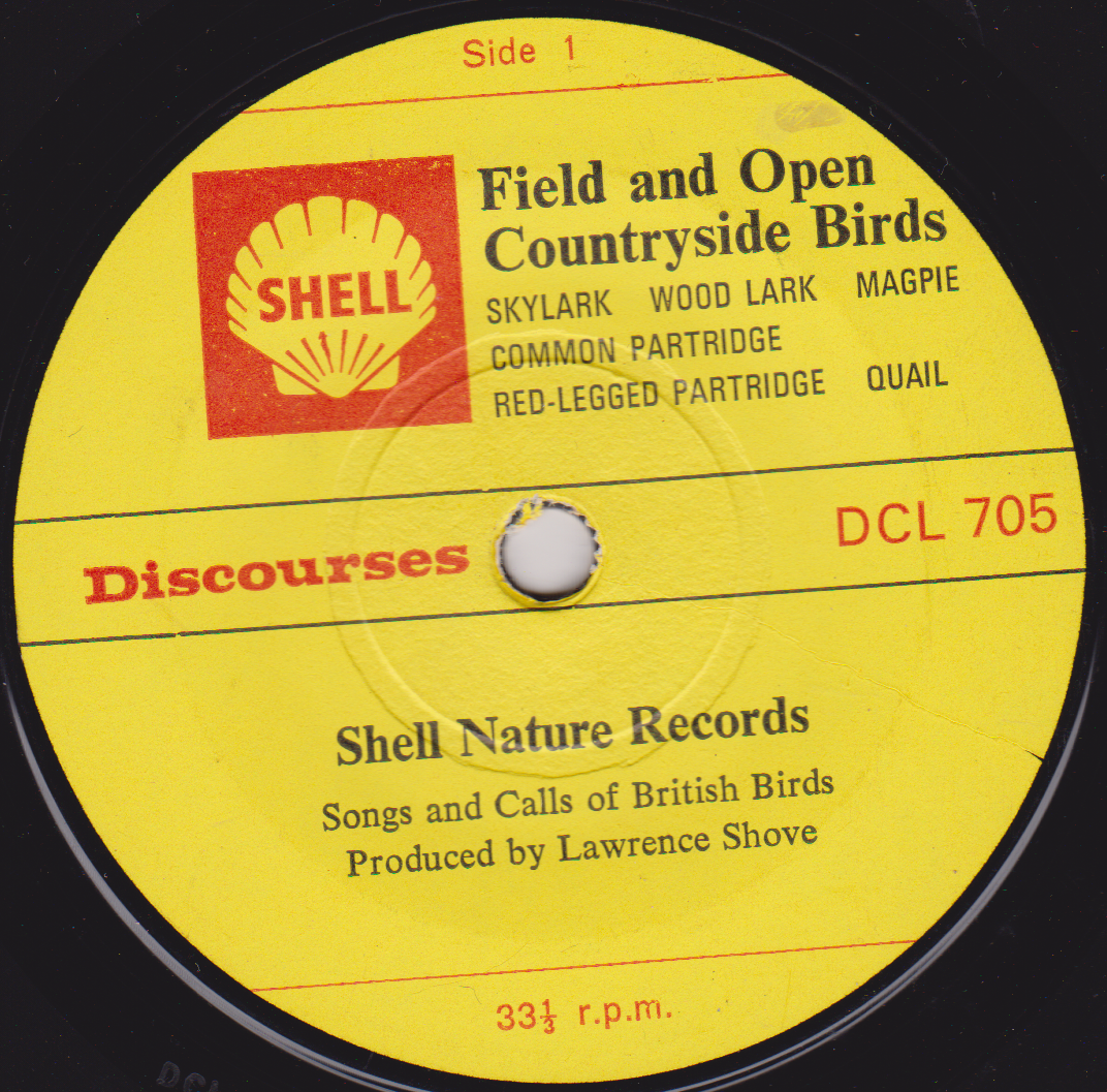 Lawrence Shove – Field And Open Countryside Birds (Shell 1967) 7" vinyl EP VG/-