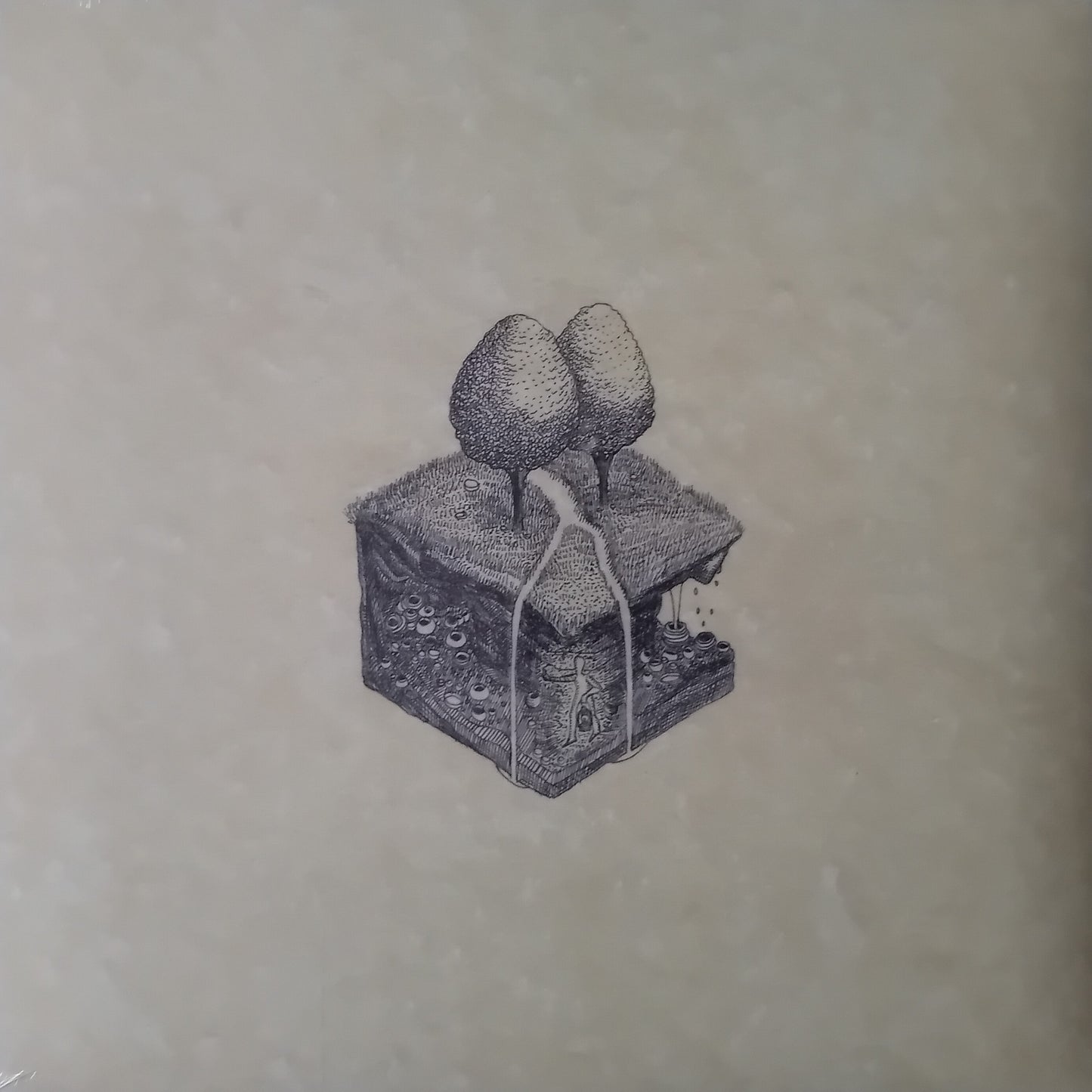 Kiran Leonard ‎– Western Culture (Moshi Moshi 2018) 12" vinyl LP New