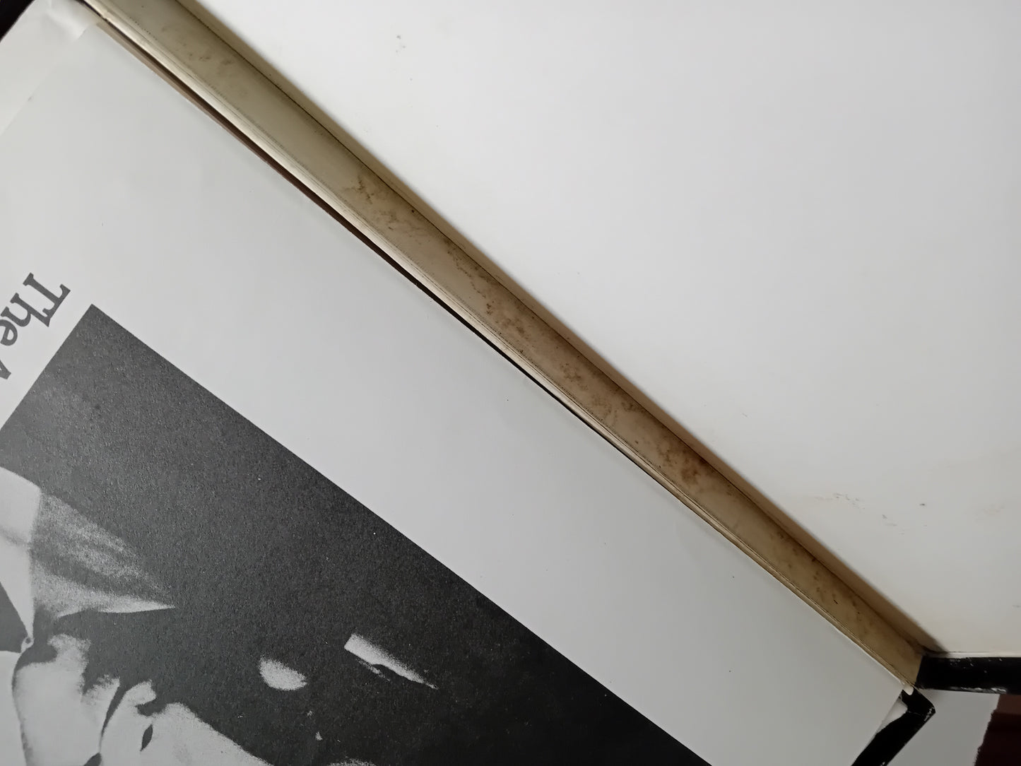 Close-up of a framed black and white portrait with a white box background