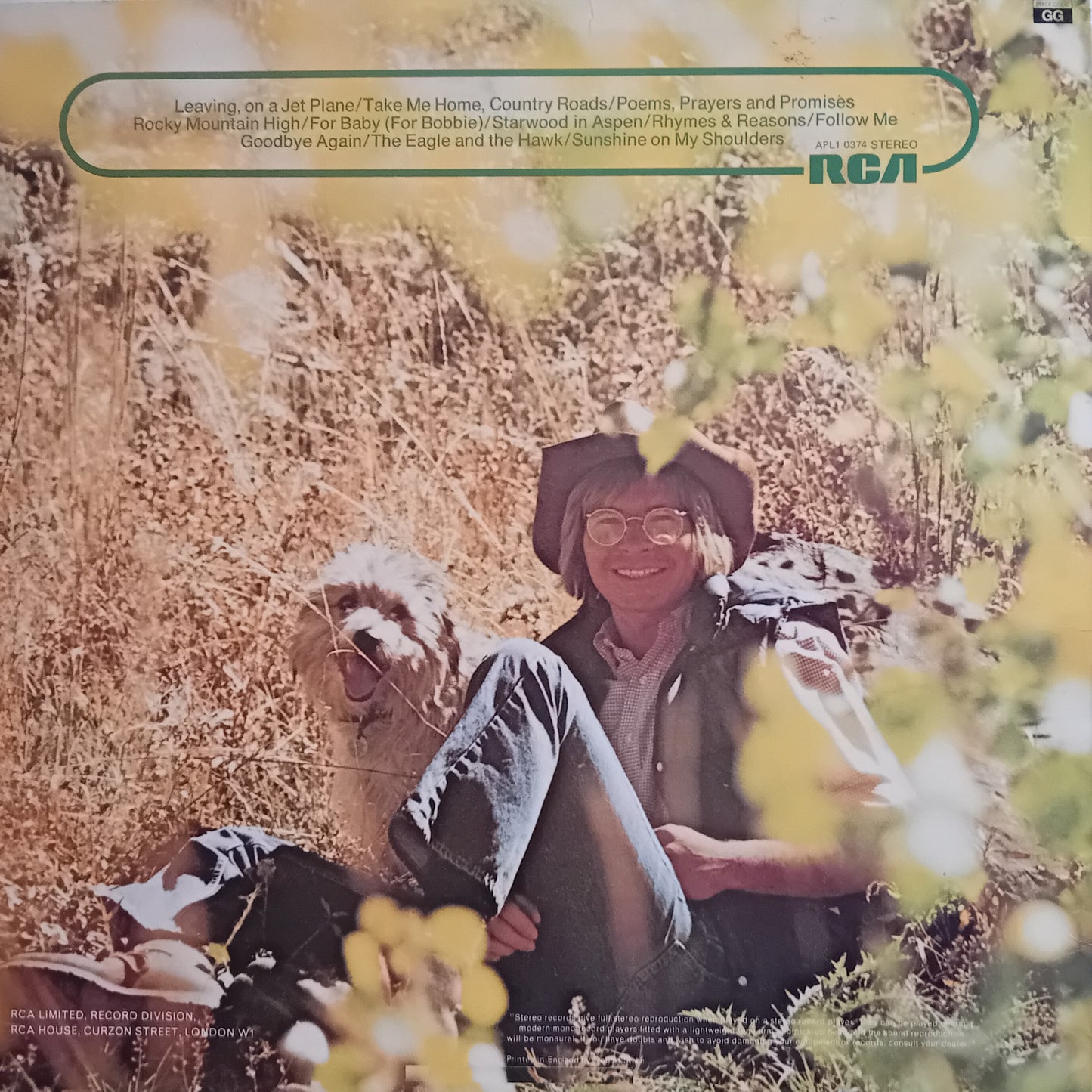 Album cover with a person sitting outdoors, surrounded by nature, featuring the RCA logo.