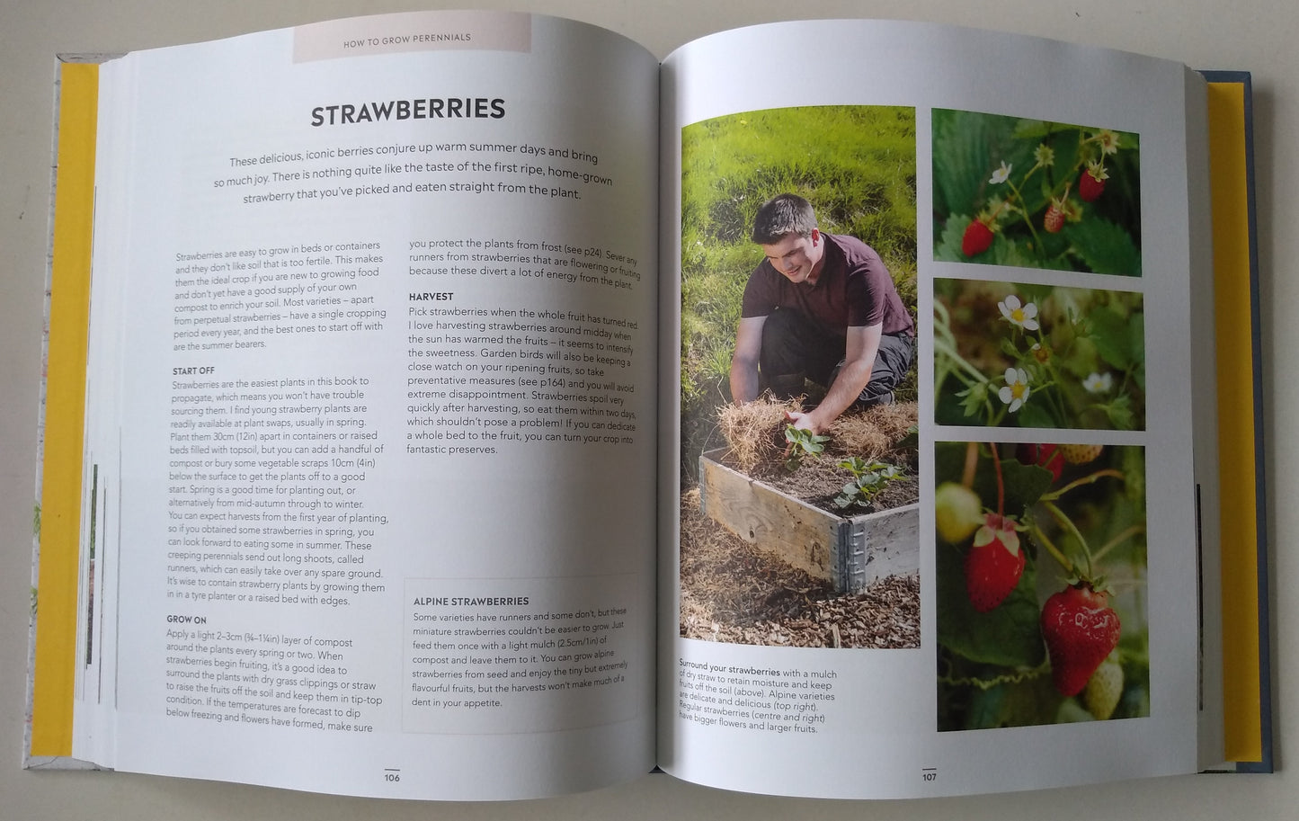 Huw Richards - Grow Food For Free (2020) hardback