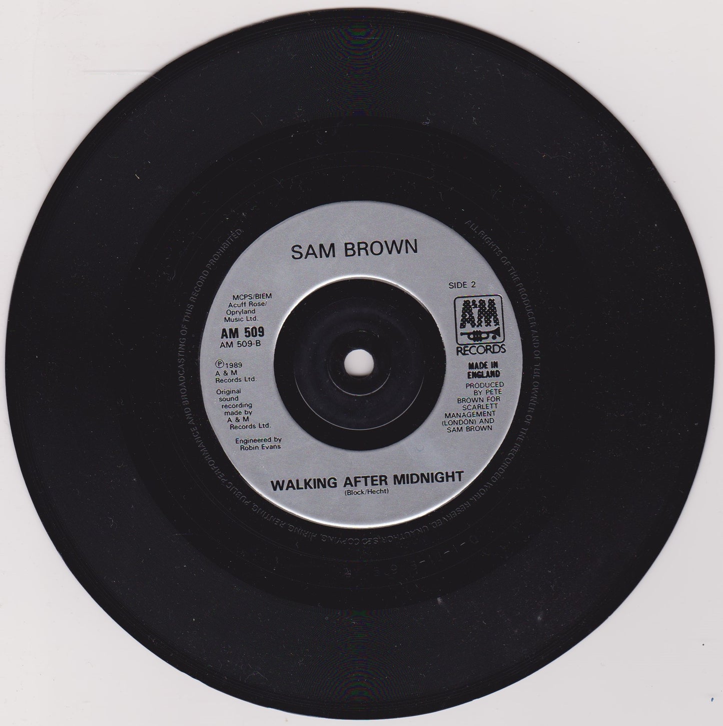 Sam Brown – Can I Get A Witness (A&M 1989) 7" vinyl P/S single VG/VG