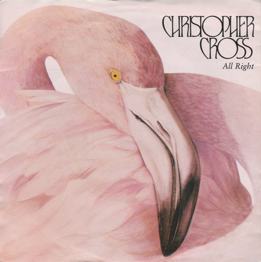Christopher Cross ‎– All Right (WB 1983) 7" vinyl P/S single VG/VG Dutch import