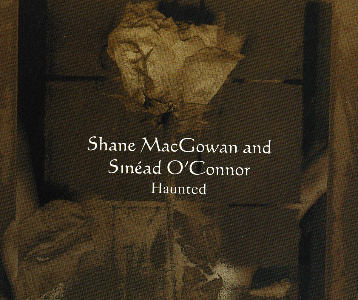 Single cover for 'Haunted' by Shane MacGowan and Sinéad O'Connor, featuring a dark sepia-toned photograph of a crumpled, lifeless-looking rose in a box with white text in the centre.