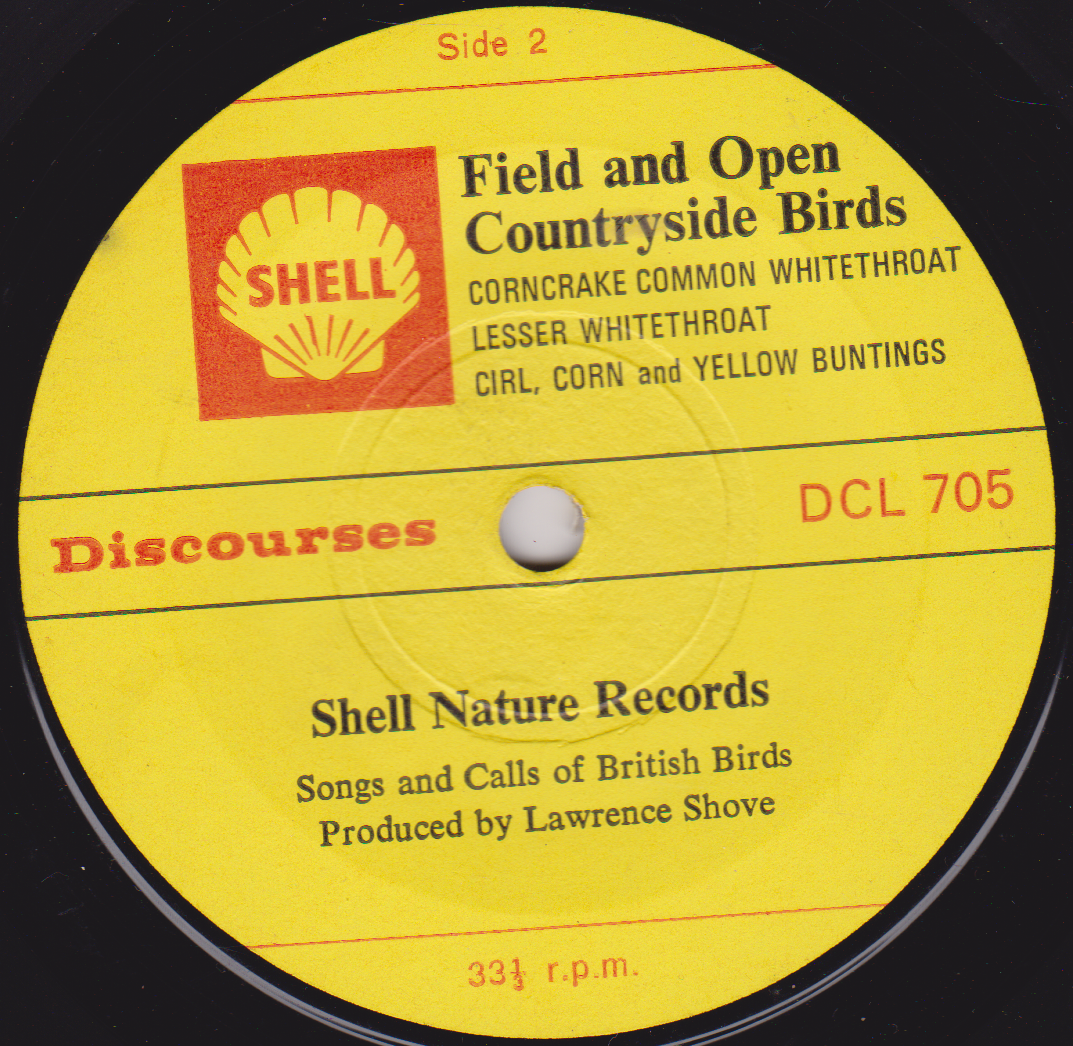 Lawrence Shove ‎– Field And Open Countryside Birds (Shell 1967) 7" vinyl EP VG/-