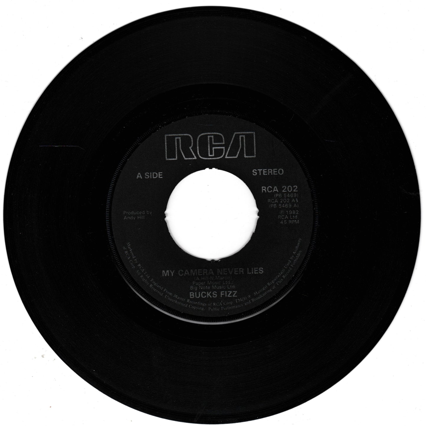 Black vinyl record with RCA label on a white background