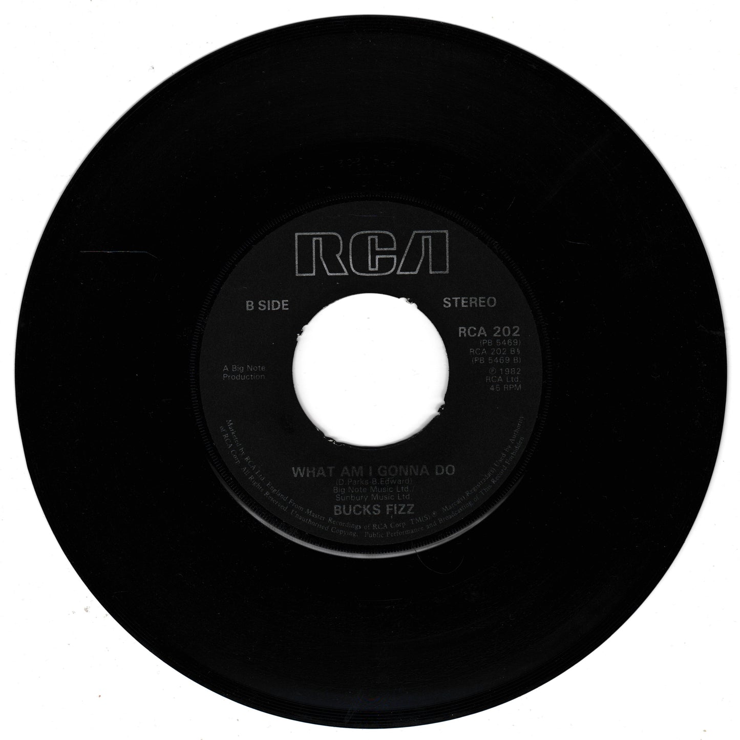 Black vinyl record with RCA label on a white background