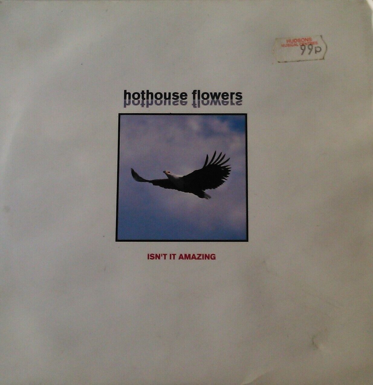 Hothouse Flowers – Isn't It Amazing (London, 1993) 7" vinyl P/S single VG/VG