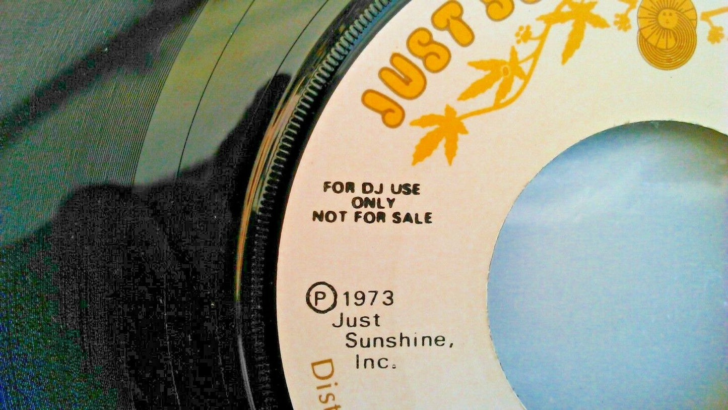 Ducks - Abalone (Just Sunshine, 1973) 7" vinyl single VG/- US promo jukebox