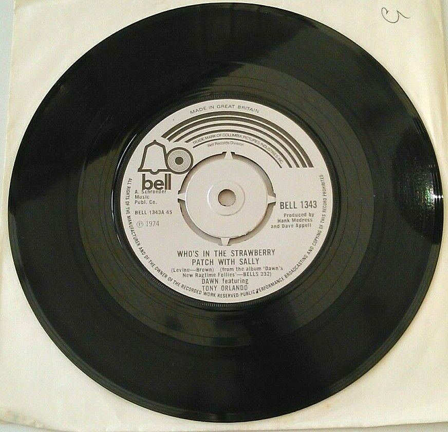 Dawn - Who's In The Strawberry Patch With Sally (1974) 7" vinyl single VG/-